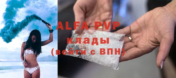 амф Верхний Тагил