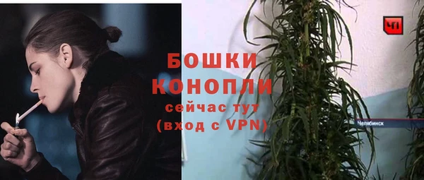 марихуана Новозыбков