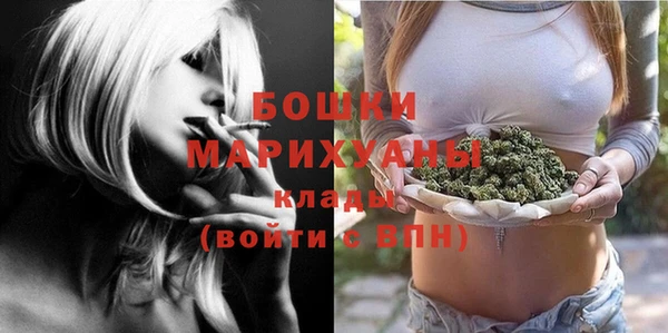 прущие грибы Аша