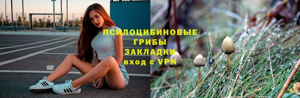 марихуана Новозыбков