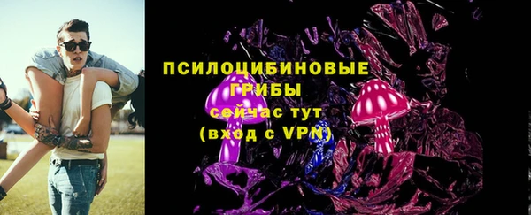 соль ск Нея