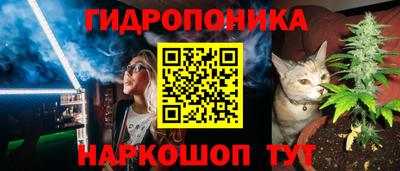 PSILOCYBIN Бугуруслан