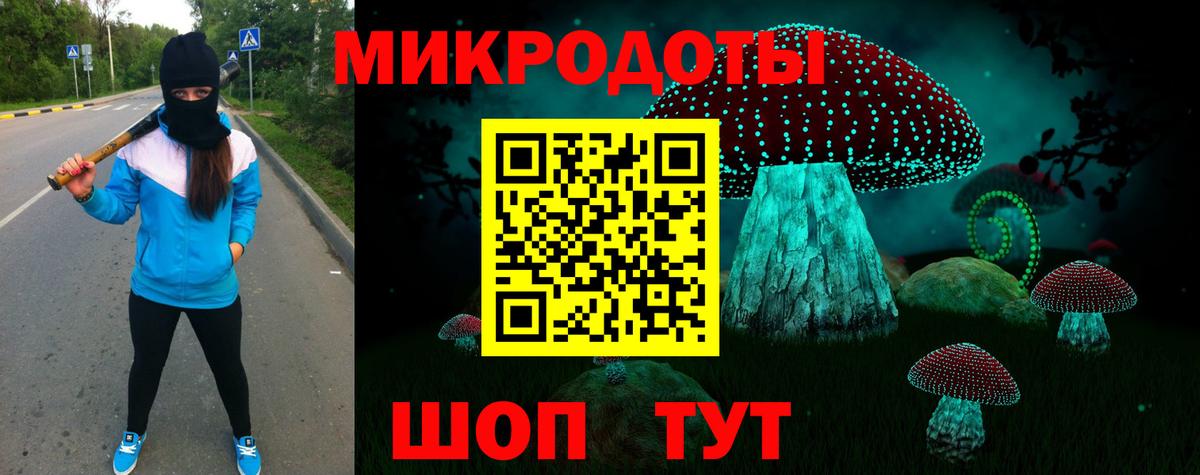 Галлюциногенные грибы Psilocybe Муравленко
