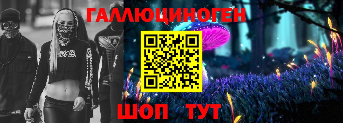 Муравленко  Галлюциногенные грибы Psilocybe  Вход с VPN 